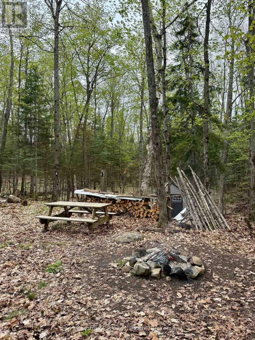 0 King Lake — photo 26 of 40