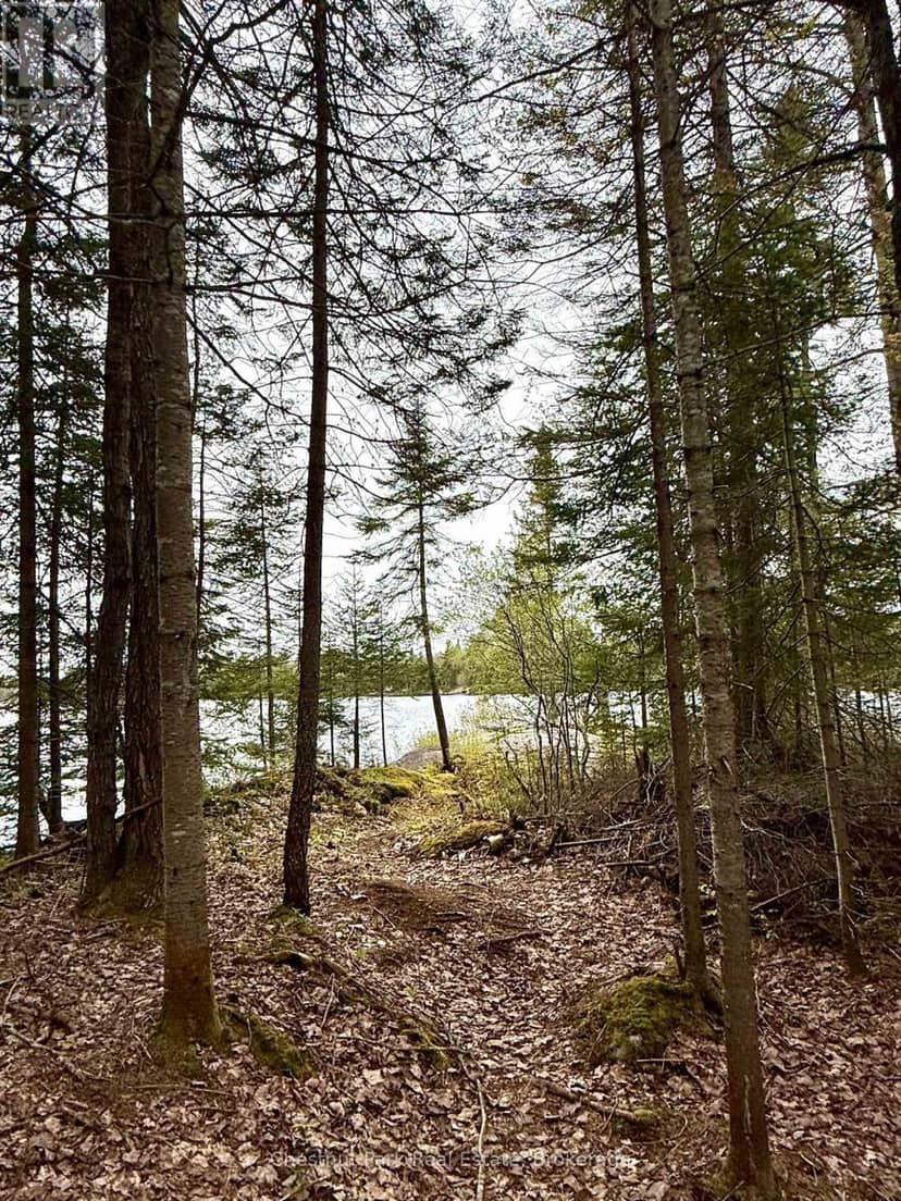 0 King Lake — photo 35 of 40