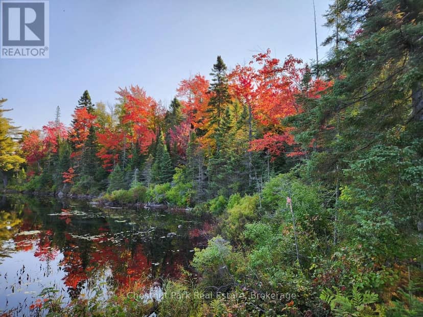 0 King Lake — photo 9 of 40