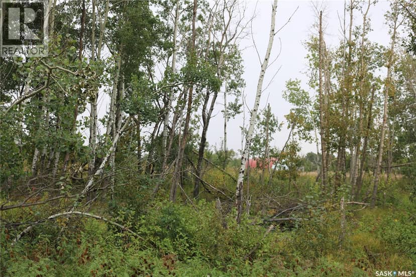 Brehaut acreage — photo 30 of 40