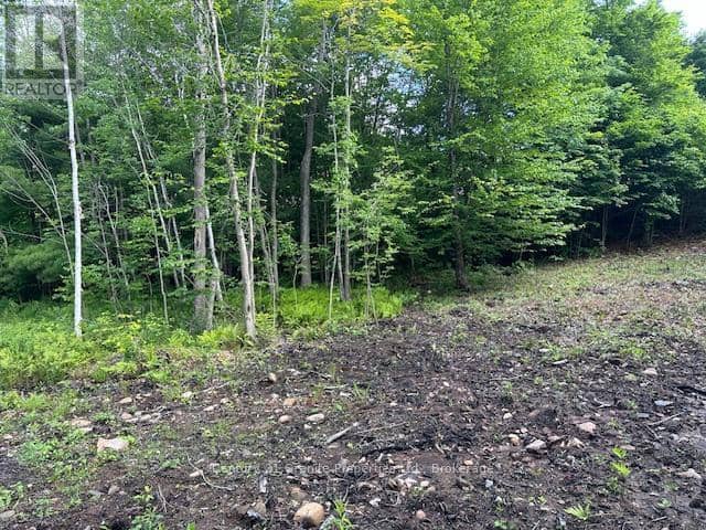 4 McNaughts Road, Seguin, photo 6