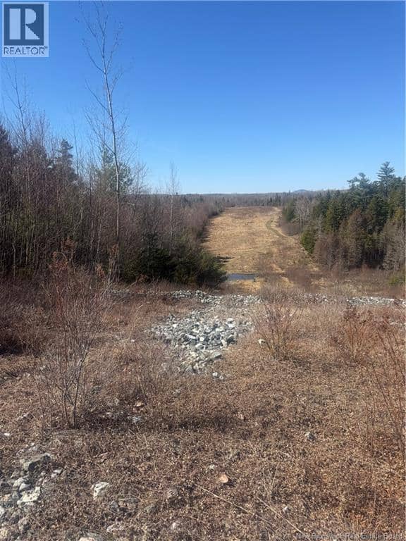 Vacant Land Route 785 — photo 4 of 6
