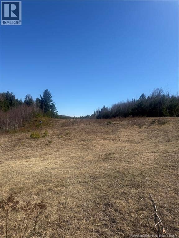 Vacant Land Route 785 — photo 5 of 6