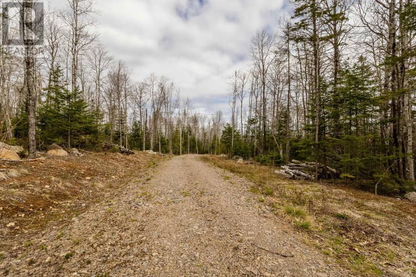 Lot 2021 Butler Road — photo 7 of 16