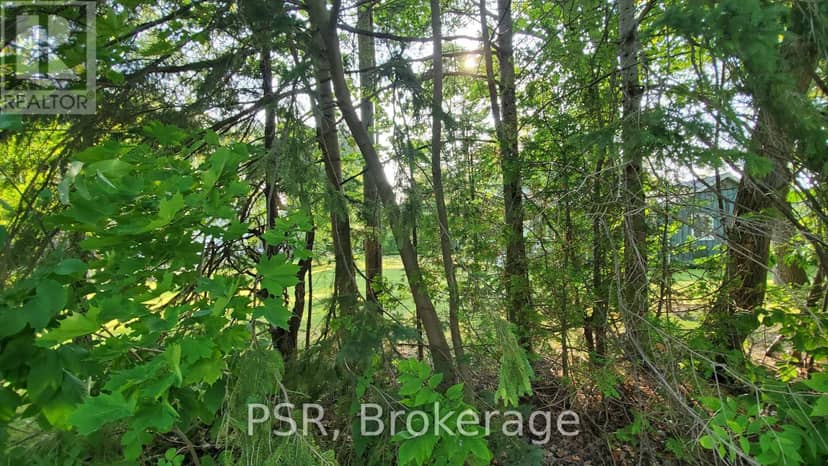 Lot 59 47th Street S — photo 7 of 21