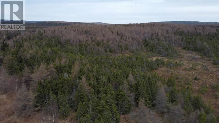 00 North River Road — photo 26 of 29
