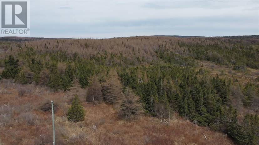 00 North River Road — photo 6 of 29