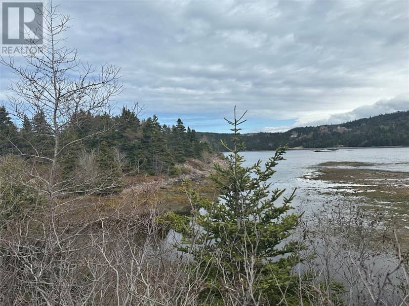 12-16 Back Cove Road — photo 4 of 40