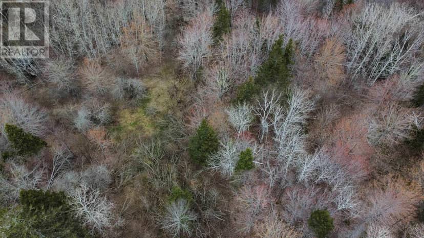 Lot 52 Marble Mountain Road — photo 6 of 7