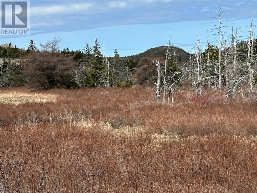 178-208 Conception Bay Highway — photo 9 of 9