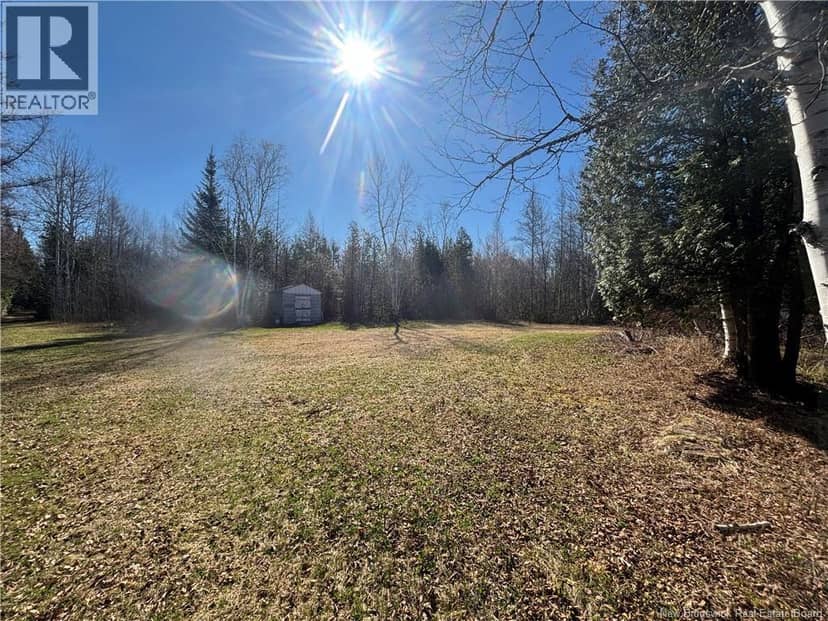11.98 Acres Chemin Tremblay — photo 4 of 18