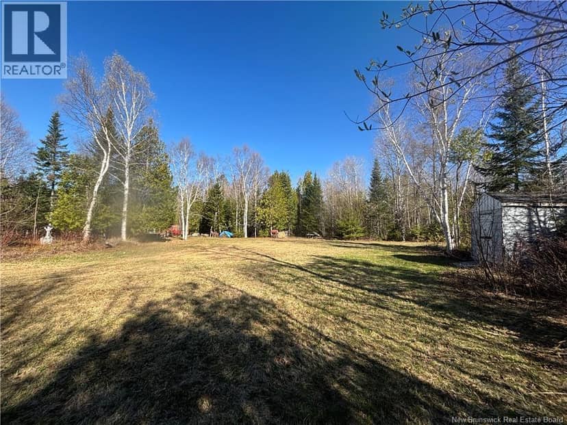 11.98 Acres Chemin Tremblay — photo 5 of 18