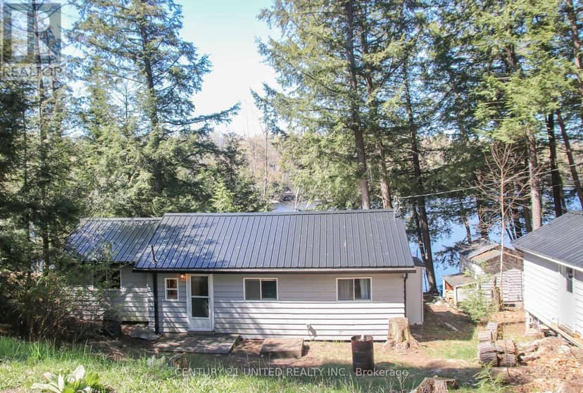 812 Island 8 Catchacoma Lake — photo 13 of 40
