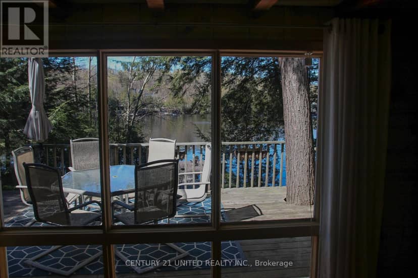 812 Island 8 Catchacoma Lake — photo 16 of 40