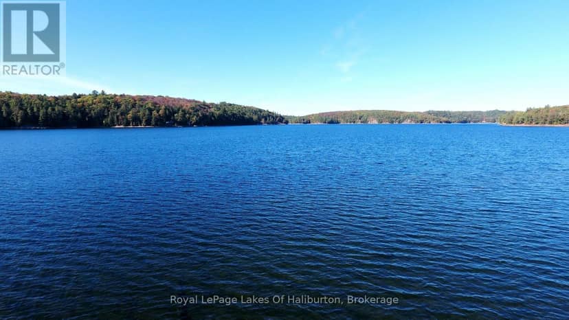 13303 Little Hawk Lake - South Shore — photo 32 of 40