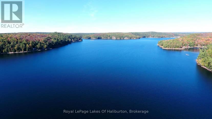 13303 Little Hawk Lake - South Shore — photo 34 of 40