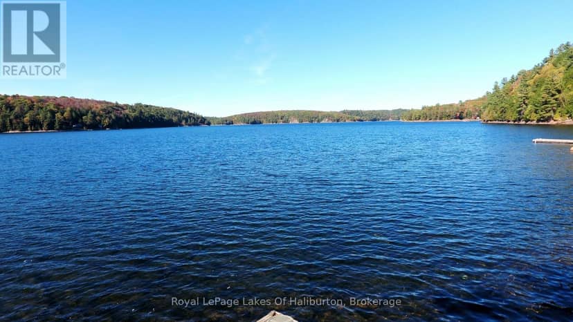 13303 Little Hawk Lake - South Shore, Algonquin Highlands, photo 5