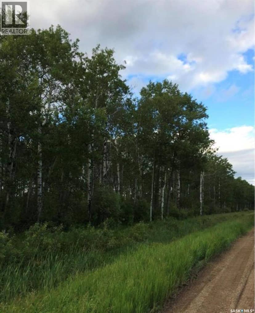 88 acres land — photo 12 of 17