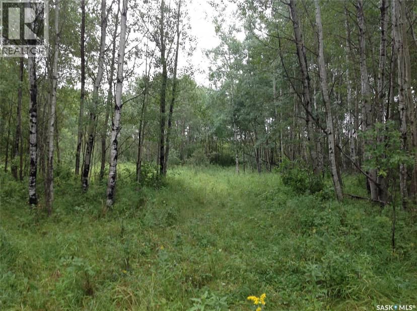 88 acres land — photo 5 of 17