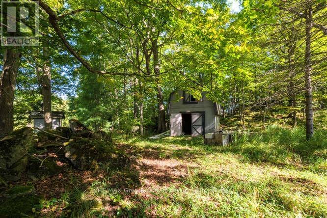 290 Clarke's Road — photo 13 of 40