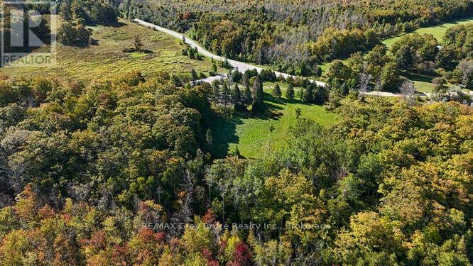 290 Clarke's Road — photo 33 of 40