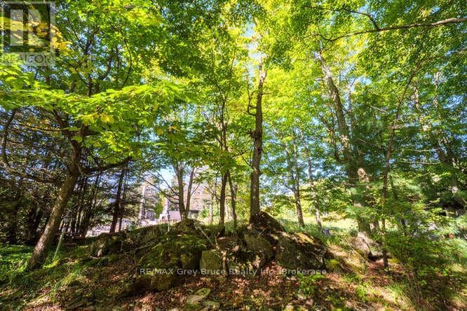 290 Clarke's Road — photo 8 of 40