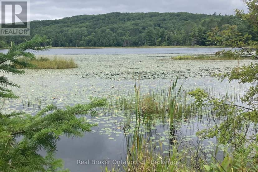 8145 Highway 17 Highway E — photo 1 of 8