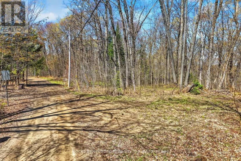 1165 Spring Lake Road — photo 18 of 38