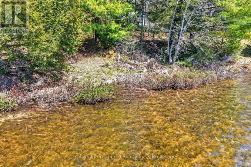 1165 Spring Lake Road, Bracebridge, photo 7