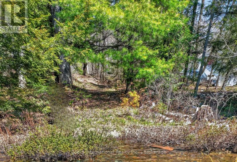 1165 Spring Lake Road, Bracebridge, photo 8