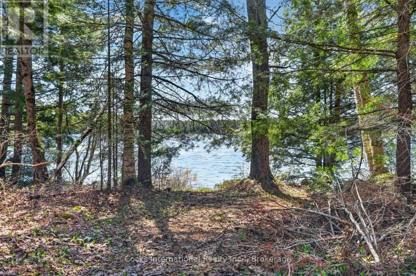 1165 Spring Lake Road — photo 9 of 38