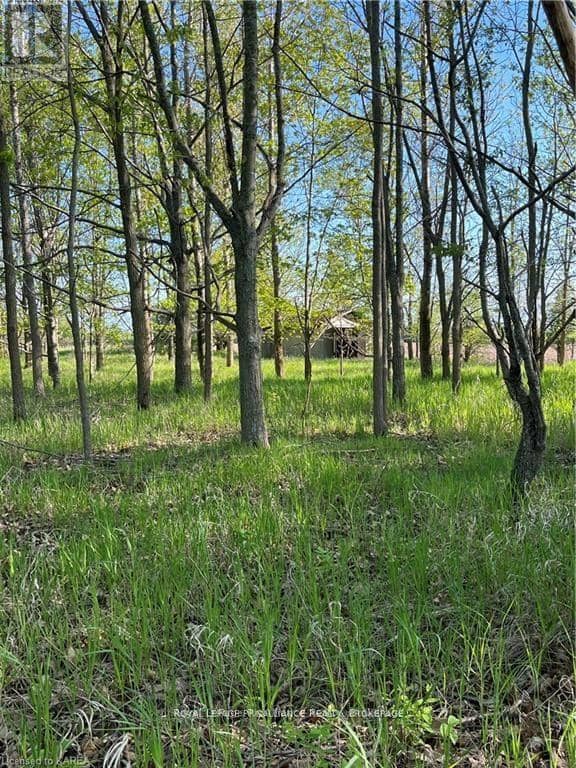 Pt Lt 5 Reeds Bay Road, Frontenac Islands, photo 4