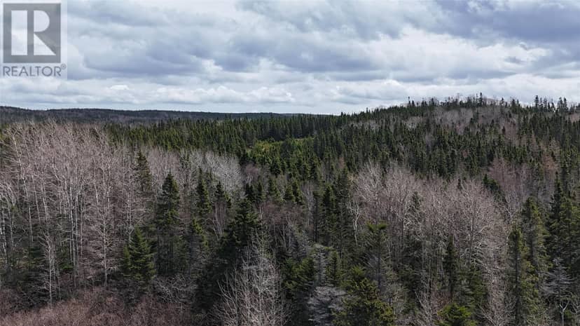 70 Road to the Isles, Lewisporte, photo 7