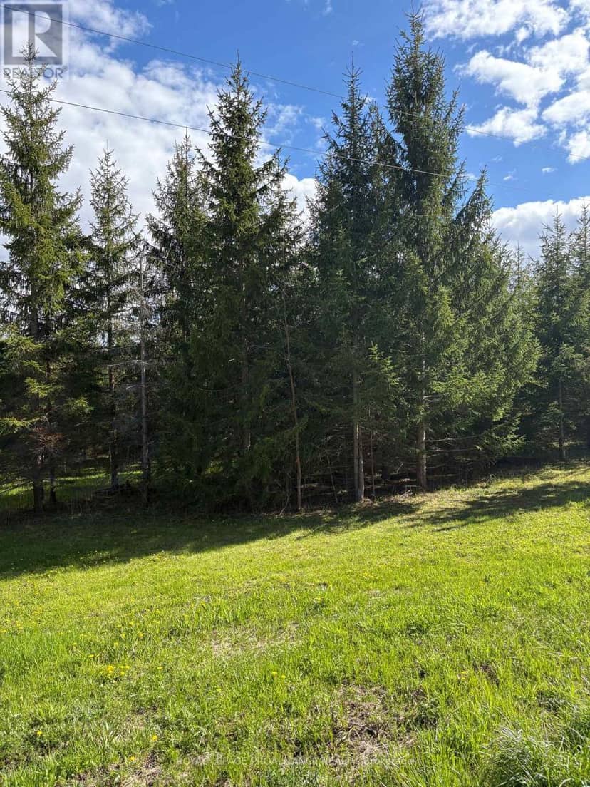 Part 2 Ingham Road, Alnwick/Haldimand, photo 3