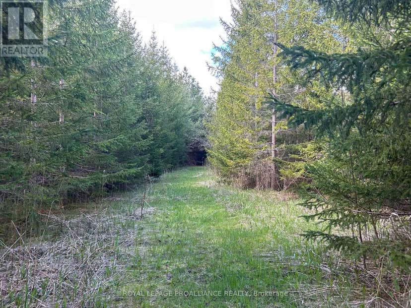 Part 3 Ingham Road, Alnwick/Haldimand, photo 5