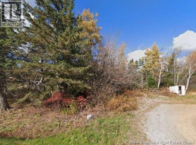 lot chemin Dignard — photo 2 of 2