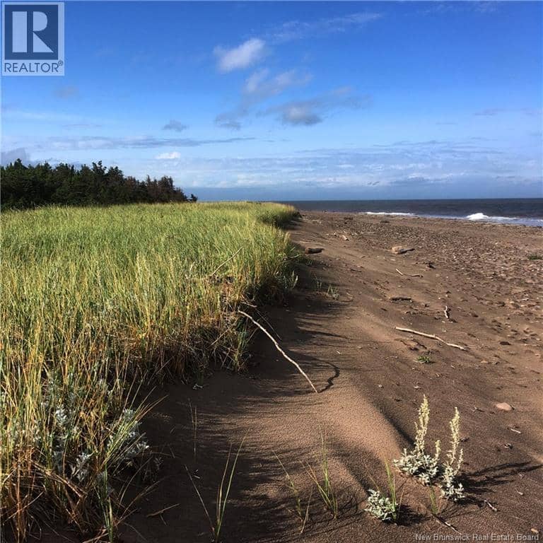 Lot Chemin Malbay — photo 9 of 14