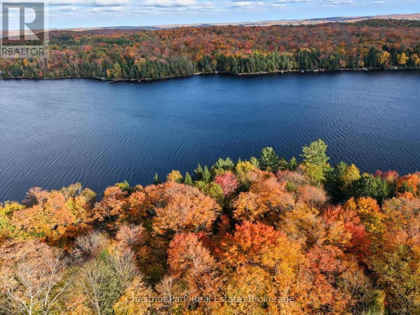 0 North Menominee Lake Road, Lake of Bays, photo 6