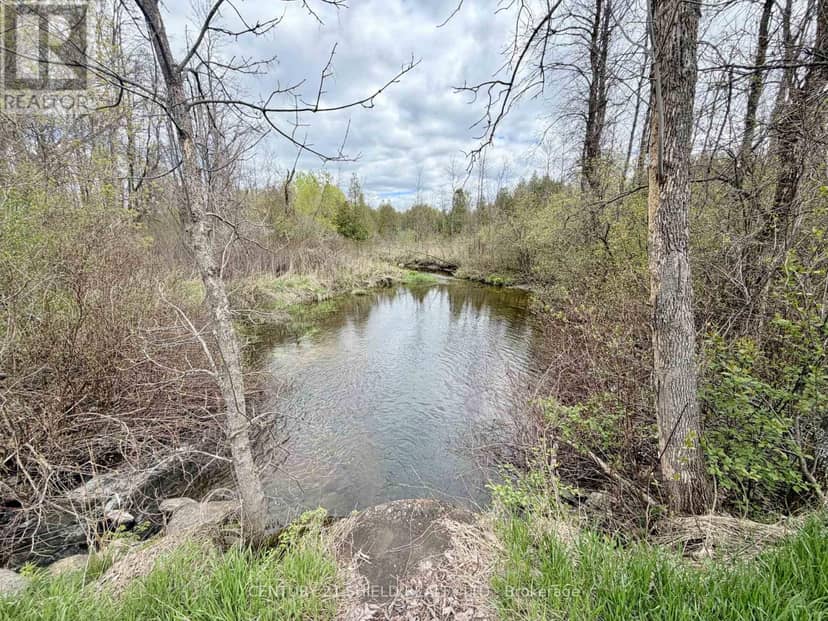 , St. Andrews - 17637 Island Road E — photo 35 of 40