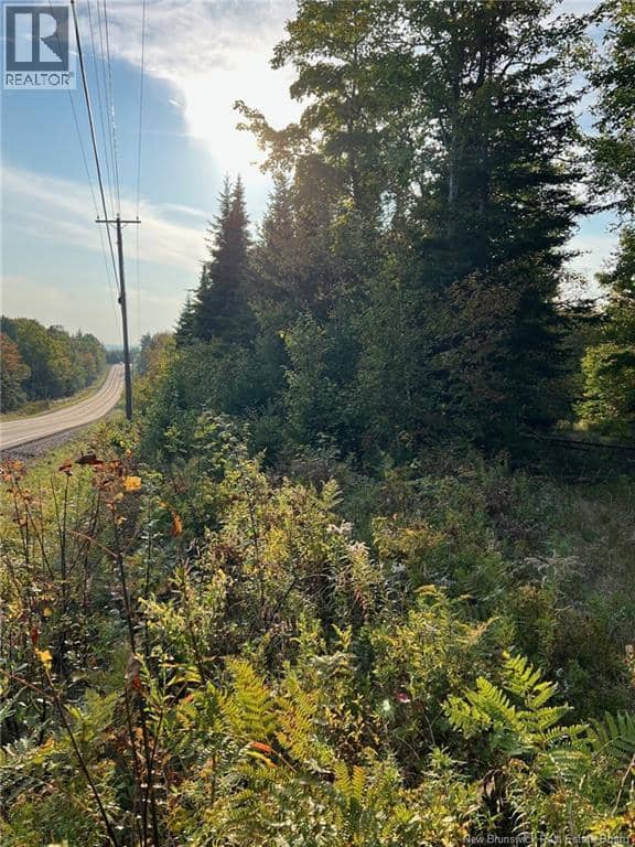 Lot 24-2 Route 3 — photo 2 of 9