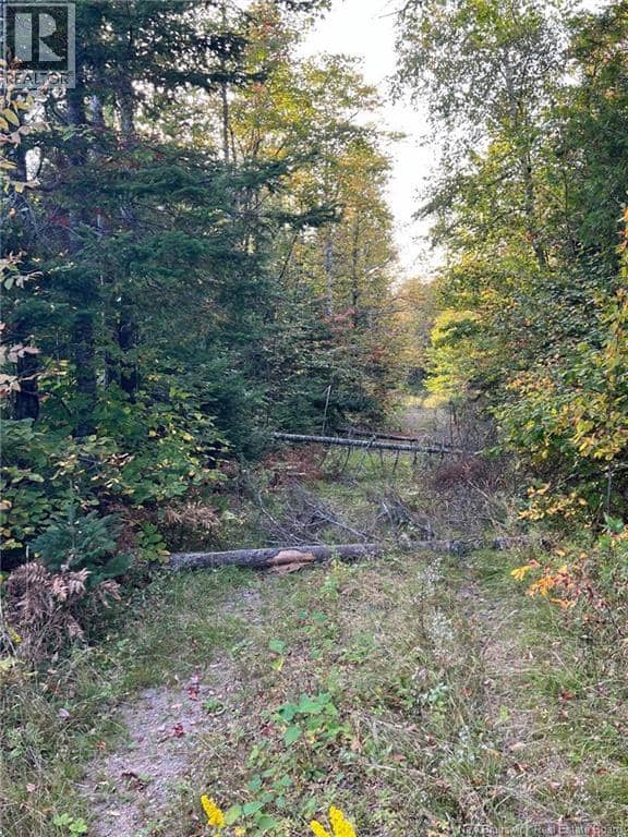 Lot 24-2 Route 3 — photo 4 of 9