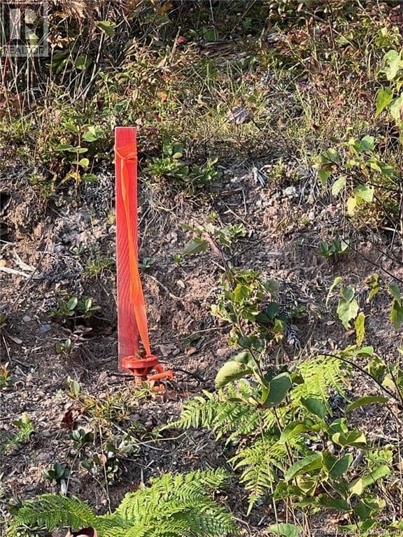 Lot 24-2 Route 3 — photo 5 of 9
