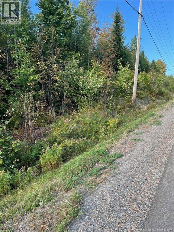 Lot 24-2 Route 3 — photo 7 of 9