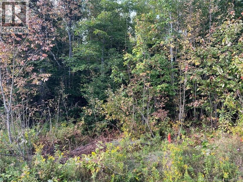 Lot 24-2 Route 3 — photo 8 of 9