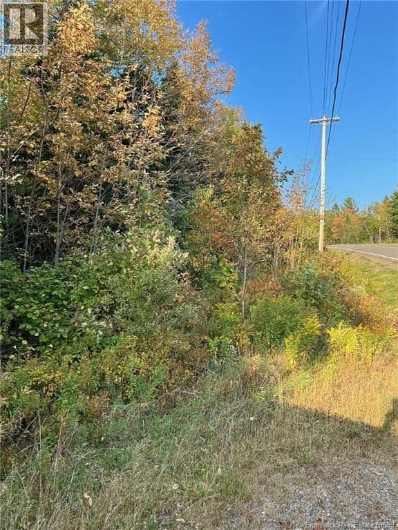 Lot 24-1 Route 3, Harvey, photo 2
