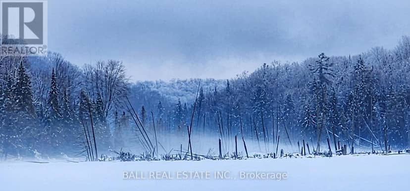 1691F Buckshot Lake Road, Addington Highlands, photo 3