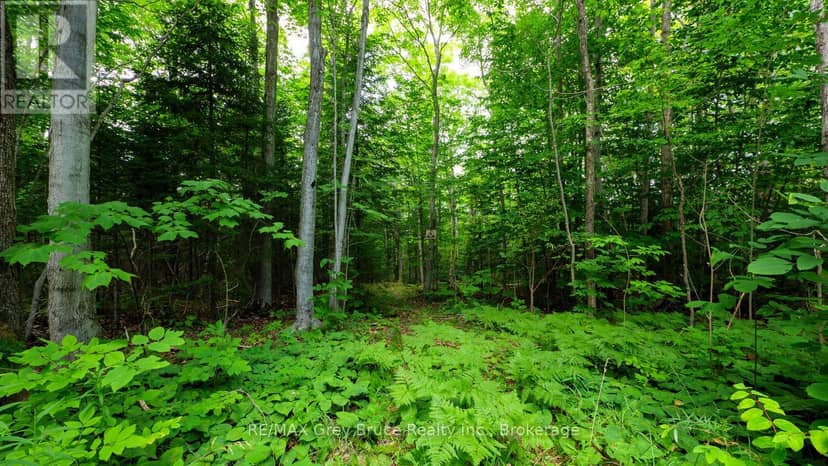 Part 1 Tammy's Cove Road — photo 7 of 18