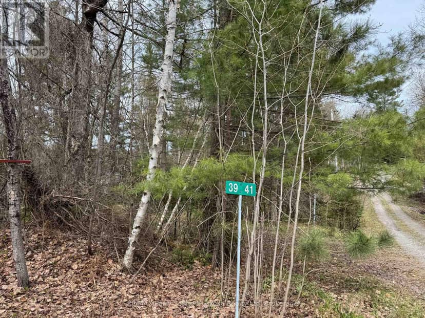 41-35 Weber Road — photo 5 of 9