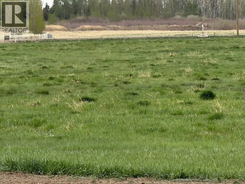 near Trans Canada Hwy 1 Acres, Rural Newell, County of, photo 2