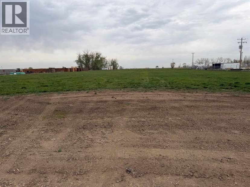 near Trans Canada Hwy 1 Acres, Rural Newell, County of, photo 4